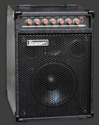 stranger Cube PM40 Guitar Amplifier