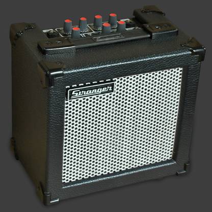 stranger Cube C6 Guitar Amplifier