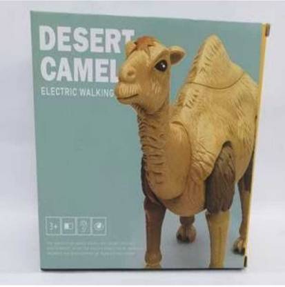 centi Camel