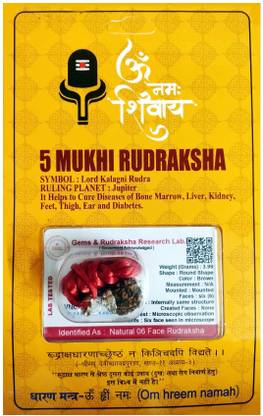 रॉबिन एक्सपोर्ट कंपनी 5 Mukhi Rudraksha Five Faced Nepali Rudraksha With Certificate Lab Test Sterling Silver Beads लकड़ी