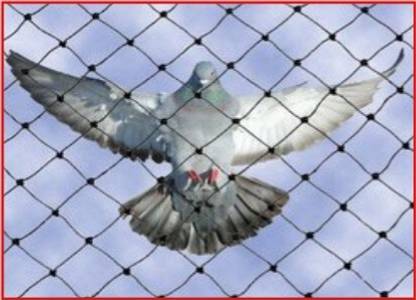 Supreme 10FT X 10FT Nylon Balcony Net/Bird Net/Monkey Net/Child Protection Net Camping Net