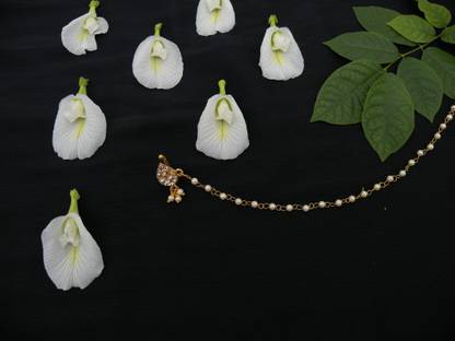 MP jewellers Gold-plated Plated Alloy Nose Stud