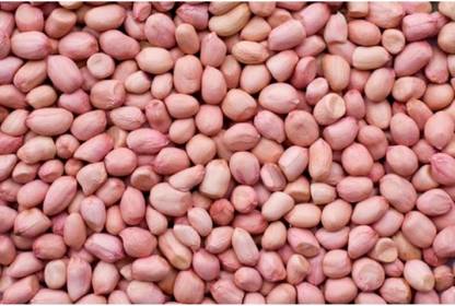 CHASTITY pinenuts000 Pine Nuts