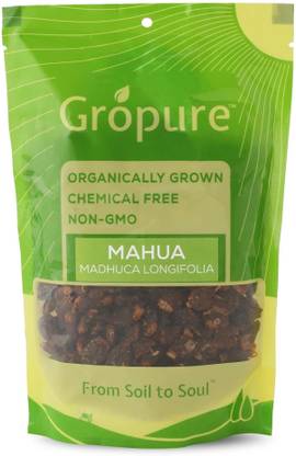 Gropure Organic Mahua Flower Dried (Madhuca Longifolia)