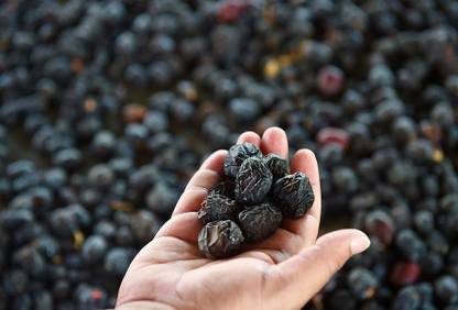 Royal foodery Premium Ajwa Dates Grade 1 Premium Dates, Fresh Jumbo Size IMPORTED 1000GRAM Dates
