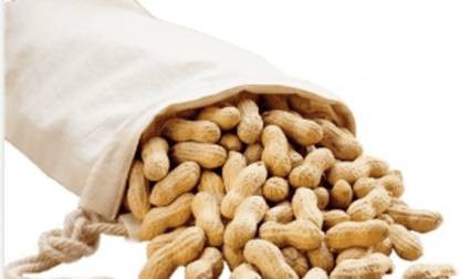 Avlokan Winter Badam Sabut Peanuts/Mungfali Dana Groundnut With Shell Chestnuts
