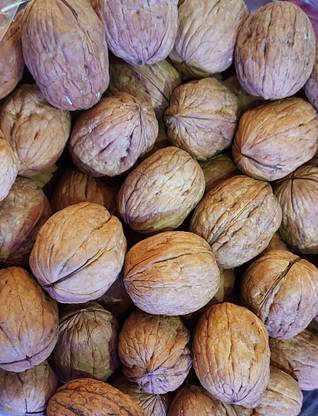 Brown Bag Walnut inshell , Walnut Sabut , Akhrot sabut Walnuts
