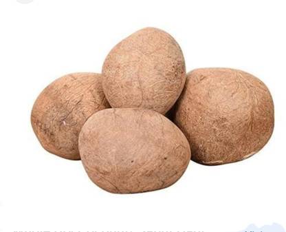 Avlokan Dry Coconut Whole/ Gota / Sriphal / Nariyal for pooja & Festivals Coconut