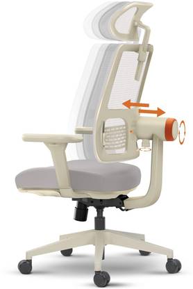 Drogo Ergonomic Office Chair for Work from Home Computer Chair Adaptive Lumbar Support Mesh Office Executive Chair