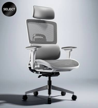 GREEN SOUL Icon Pro Ergonomic Office | ErgoLift Back | IntelliAdapt Recline |Korean Mesh Office Adjustable Arm Chair