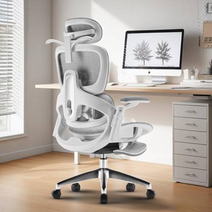 Drogo Ergonomic Office Chair for Work from Home Computer Chair 6D Armrest, 4D Headrest Mesh Office Executive Chair