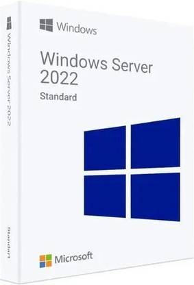 MICROSOFT Windows Server 2022 License Standard for Windows (1 User, Lifetime Validity)