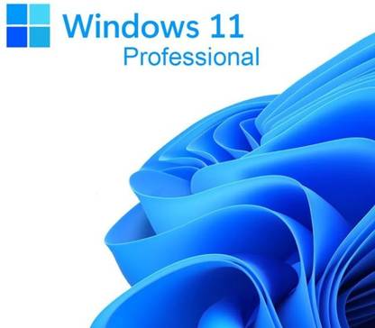 MICROSOFT Windows 11 Professional (1 User/PC, Lifetime Validity) OEM 32/64 Bit