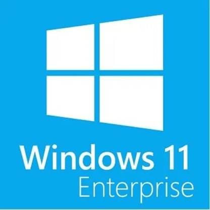 MICROSOFT Windows 11 Enterprise (1 User/PC , Lifetime Validity) 64/32 Bit