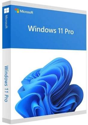 MICROSOFT WINDOWS 11 PRO ONLINE ACTIVATION KEY (INSTANT EMAIL DELIVERY ) SOFTWARE LIFETIME LIFETIME VALIDITY 32/64 Bit
