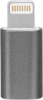 Anshmit Lightning OTG Adapter