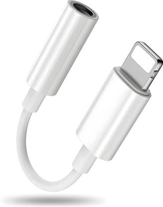 Delionz Lightning OTG Adapter