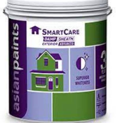 Asian Paints DAMSHEATH ADVANCED PRIMER 10 LTRS Bonding Primer