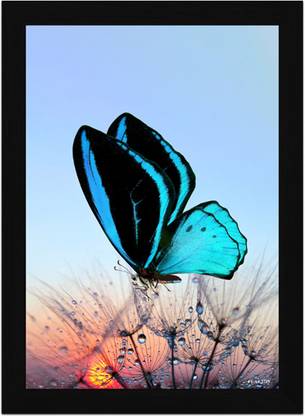 FRIZZY ARTS Twilight Wings – Blue Butterfly on Dandelion at Sunset A4 Digital Reprint 13 inch x 10 inch Painting