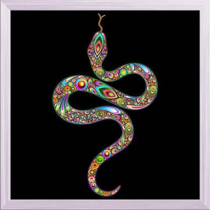 Artzfolio Snake Psychedelic Art Design Canvas Painting White Frame 24x24inch (61x61cms) Canvas 24 inch x 24 inch Painting