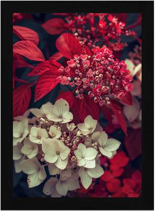 FRIZZY ARTS Crimson Contrast – Hydrangea and Scarlet Bloom Fusion Digital Reprint 20 inch x 14 inch Painting