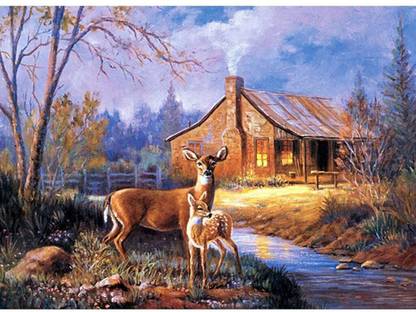 HASTHIP DIY 5D Diamond Painting Kit by Numbers, Full Diamond Crystal Embroidery,Embroidery Cross Stitch Pictures,Decoration Art Crafts for Home(30 * 40CM) Canvas 11 inch x 15 inch Painting