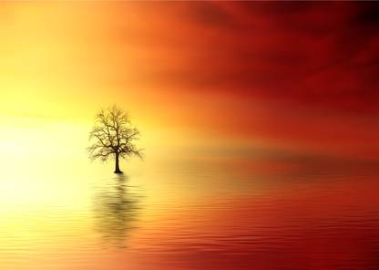 DecorAdventures Sunset and a Tree Canvas 16 inch x 21 inch Painting
