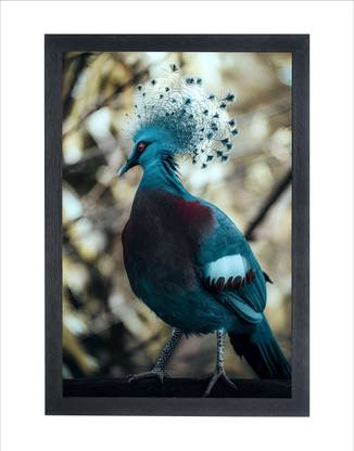 Chitransh Gifts Victoria crowned pigeon Wall Mounted Painting Photo Frame Digital Reprint 14 inch x 20 inch Painting