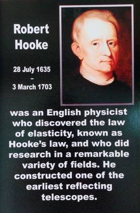 Pixmart Robert Hooke Digital Reprint 14 inch x 20 inch Painting