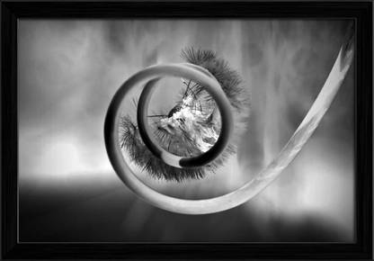 Artzfolio Rebirth Framed Wall Art Painting Print Canvas 12 inch x 17.1 inch Painting