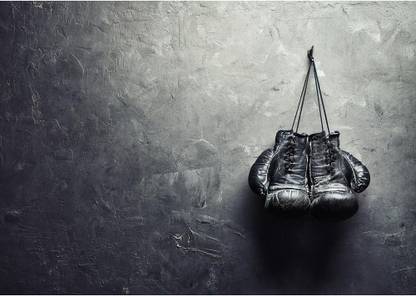 Pitaara Box Old Boxing Gloves Hang On Nail Unframed Wall Art Painting Print Canvas 16 inch x 22.6 inch Painting
