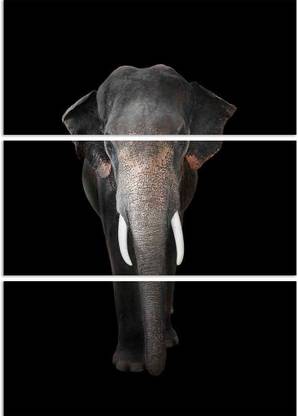 Artzfolio Elephant Split Art Painting Panel on Sunboard 28 x 38.7 inch (71 x 98 cms) Digital Reprint 38.7 inch x 28 inch Painting
