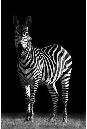 Pitaara Box Zebra Unframed Wall Art Painting Print Canvas 30 inch x 20 inch Painting