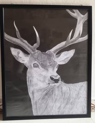 Artsvivek DEER,ORIGANAL Pencil 29 inch x 1 inch Painting