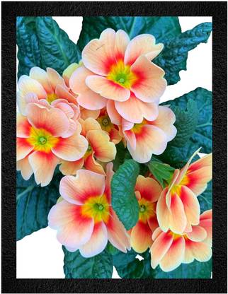 WALL PROFILE Wall Profile "Colorful Polyanthus Primula Wall Decor" 3D Painting 11 inch x 14 inch Painting