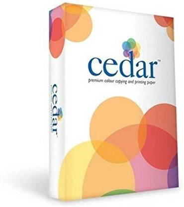 JK PAPER Cedar | 500 sheets (per packet) Unruled A3 100 gsm A3 Paper