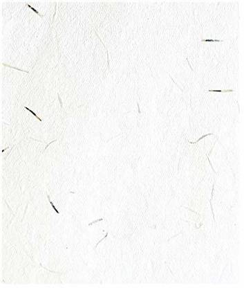 Devraaj Marigold Seed Paper Unrule 5x7 250 gsm A4 paper