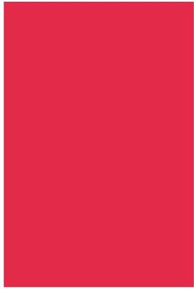 ARETOR Pack of 20 A4 Size Color Paper/Sheets 75 GSM For Art and Craft School Work Plain A4 120 gsm Coloured Paper
