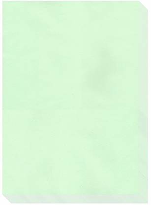 ESCAPER Mint Colour Paper A4 Size Bundle (500 Sheets Pack - 297mm x 210mm) Ruled A4 75 gsm A4 paper