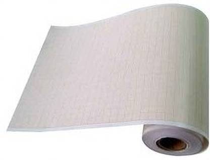 MEDIGRAPH a1 ruled 40 20 gsm Paper Roll