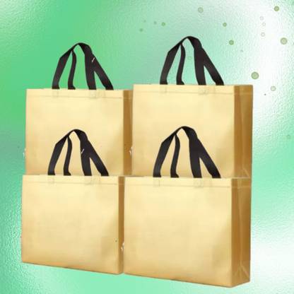 Koogly Solid Party Bag