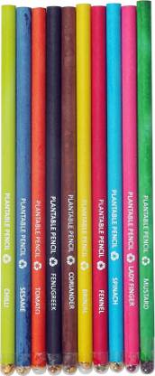 Bamboo Haat Use And Grown Recycled Paper Pencil With Seed (Pack Of 10) Pencil