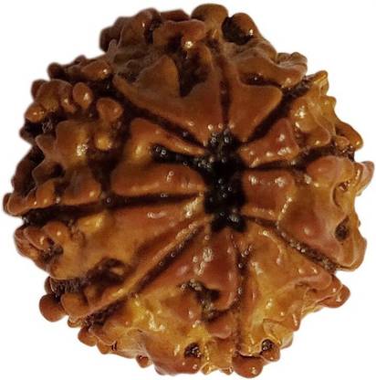 Jewelswonder 100 % Original & Natural 8 Mukhi Rudraksh Eight Face Rudraksha With JGL Lab Cert Wood Pendant
