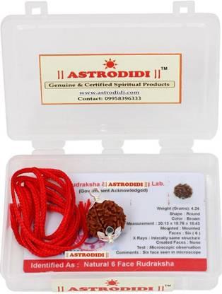 Astrodidi Original Six Face/Mukhi Rudraksha With Lab Certificate Silver Wood Pendant