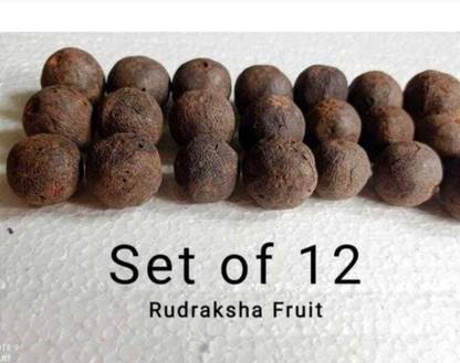 Akaraya Rudraksham Rudraksha Sacred Fruit-Tear (Set of 12) With Brand Certification Wood Pendant