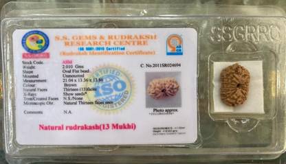 Vegga 13 mukhi rudraksha 100%pure certified Wood