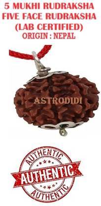 Astrodidi 5 Mukhi Nepali Rudraksha Five Face Original Real Rudraksha with Lab Certificate Silver Silver Pendant