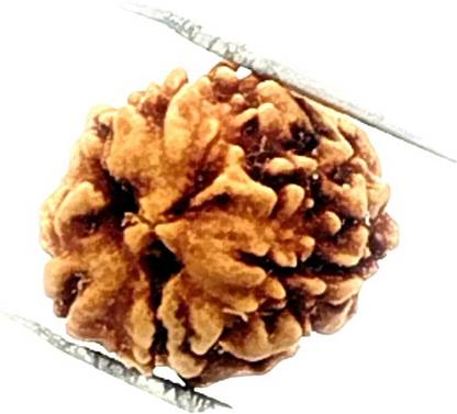 The Gems Gallery Stone