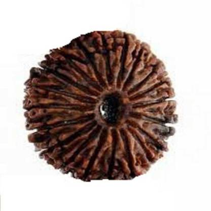 DIVINE SOUVENIRS Natural 21 Mukhi Rudraksha for Men Wood