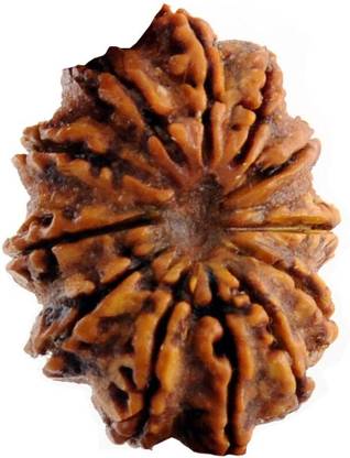Jewelswonder Natural Twelve Face /12 Mukhi Rudraksha Wood
